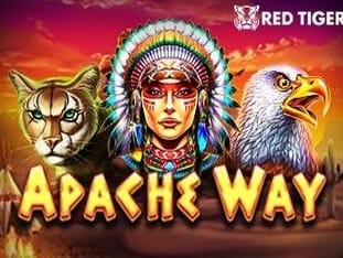 Apache Way screenshot